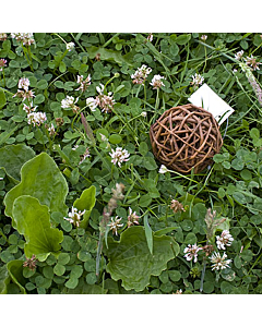 Weidenball 8 cm
